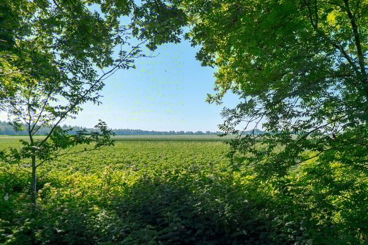 Foto 2 van Achterweg 27