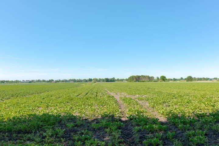 Foto 7 van Achterweg 27