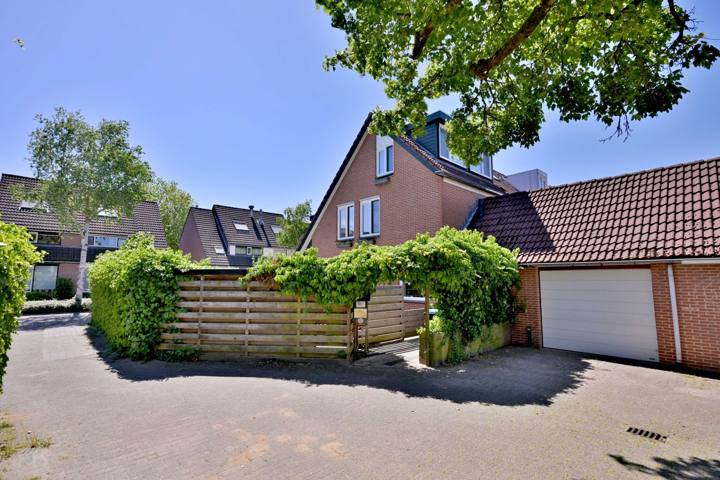 Photo 44 of Vogelslag 71