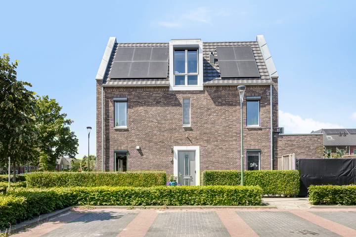 Foto 2 van Hamerbijl 9