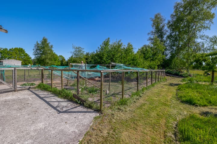 Foto 47 van Ost-West Strasse 11