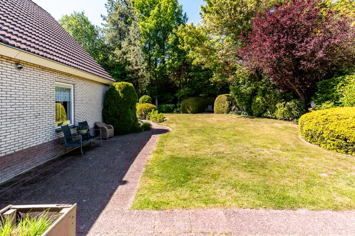 Foto 45 van De Weitas 5