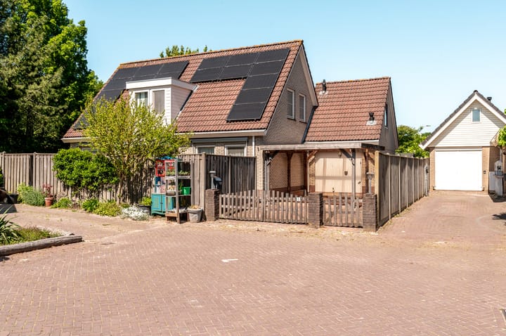 Foto 55 van De Weitas 5