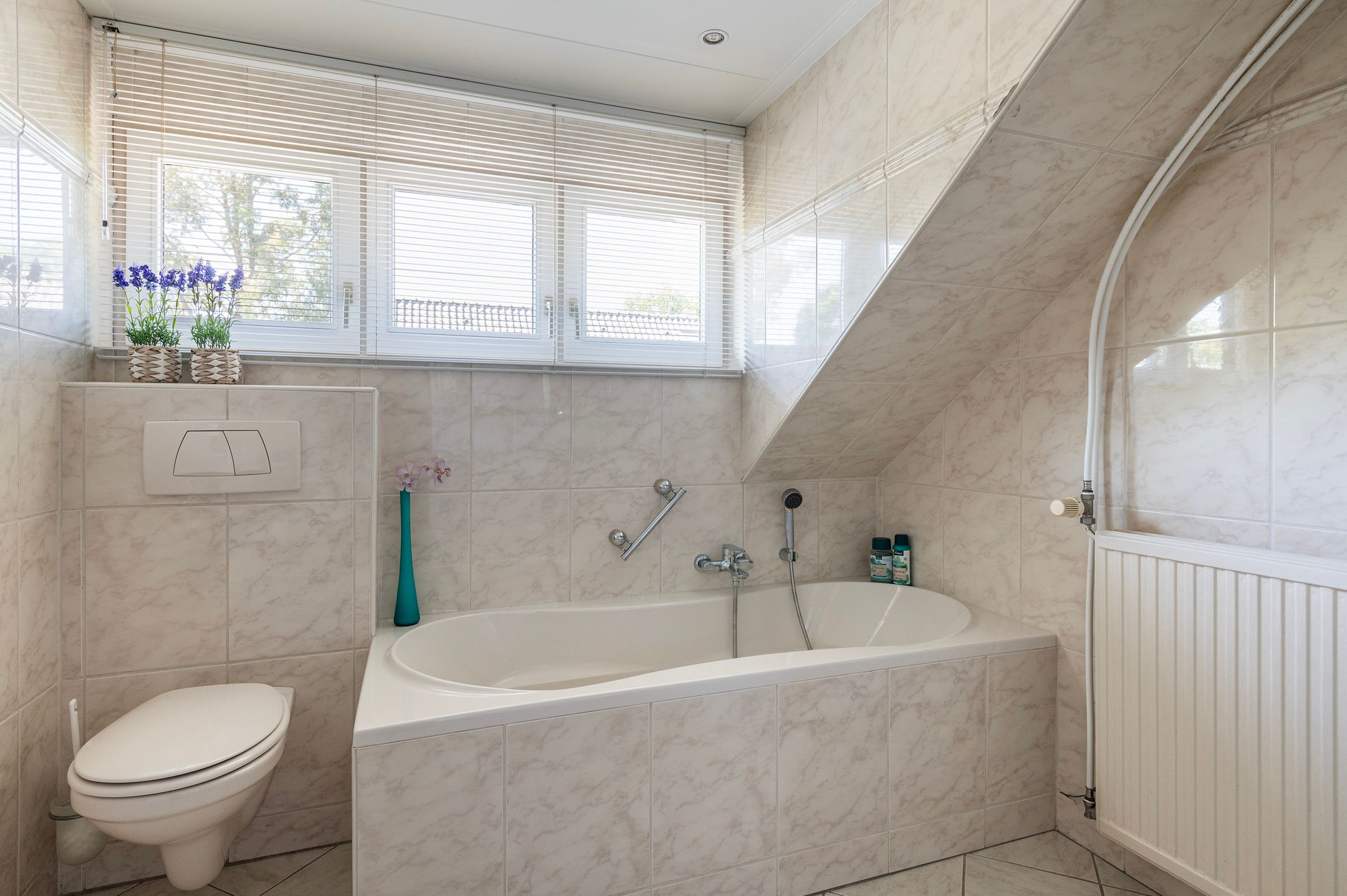 Foto 33 van Klaasbos 17