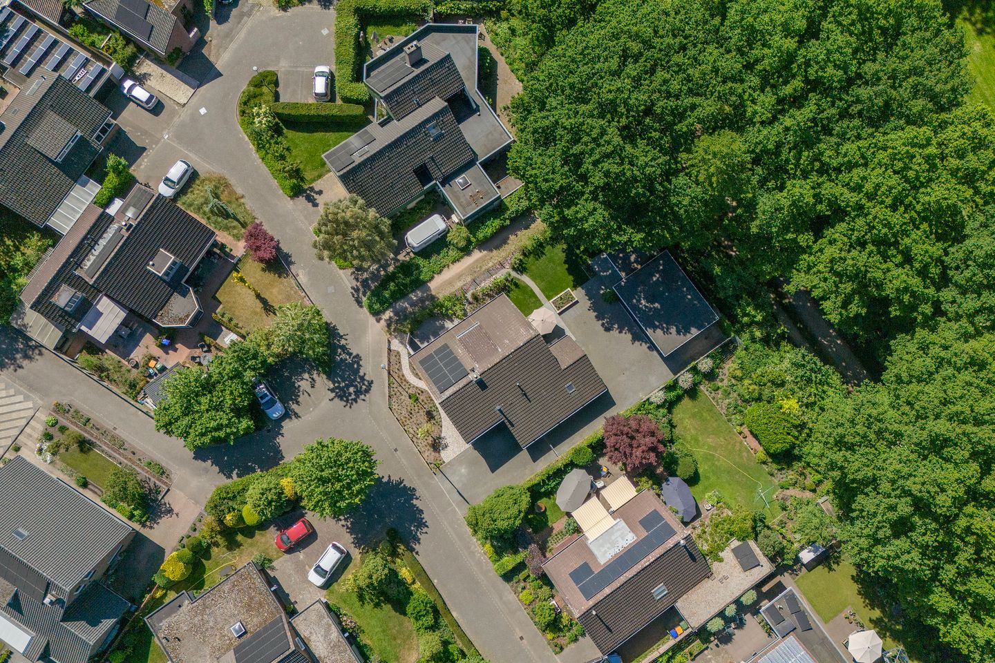 Foto 40 van Klaasbos 17