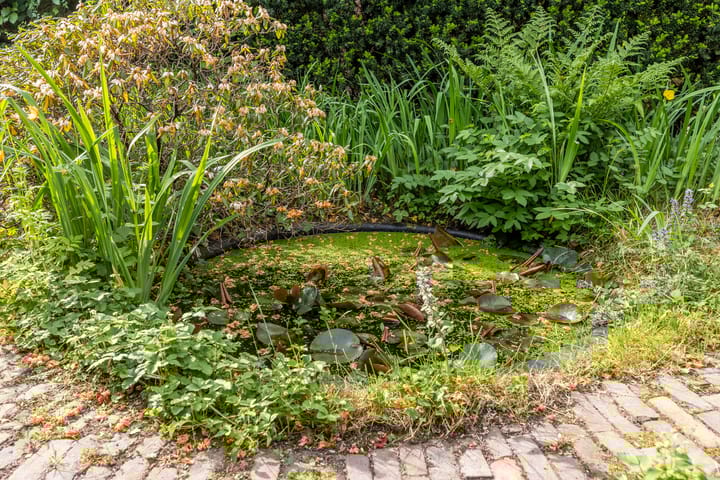 Foto 30 van Oranjelaan 5