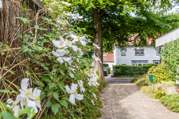 Foto 34 van Oranjelaan 5