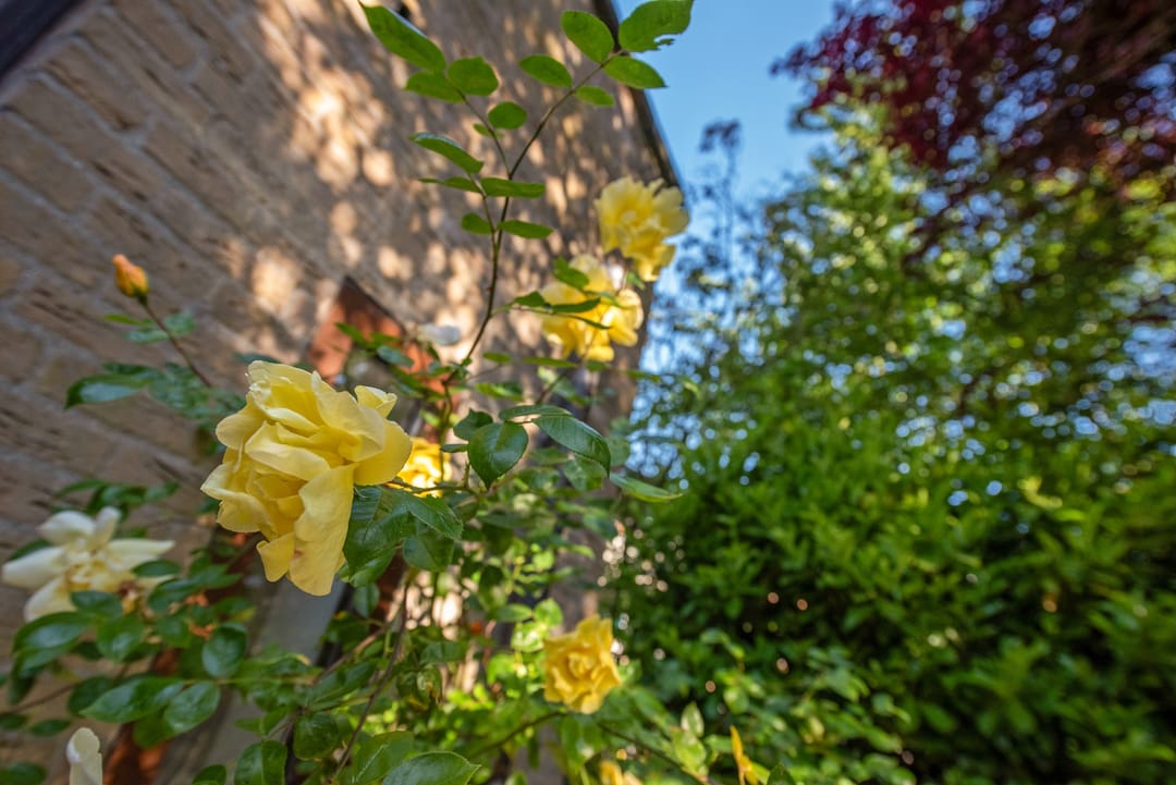 Foto 23 van Pauwhof 133