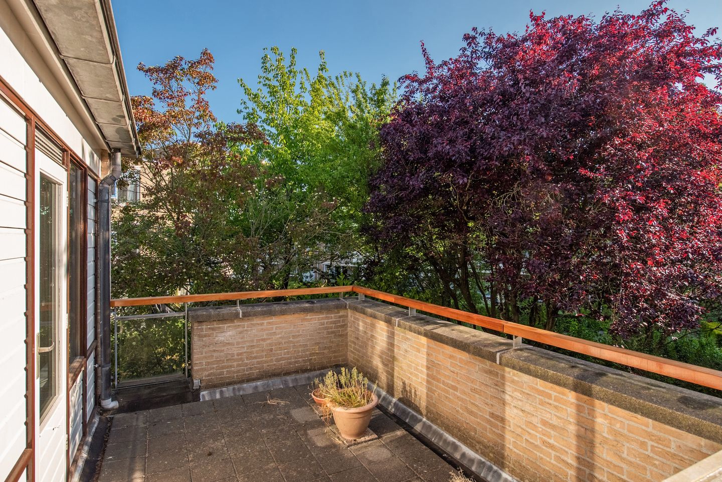 Foto 29 van Pauwhof 133