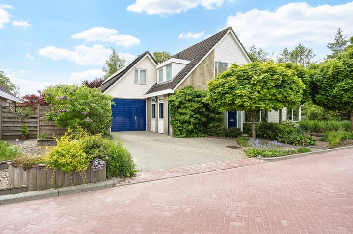 Foto 5 van Waterman 8