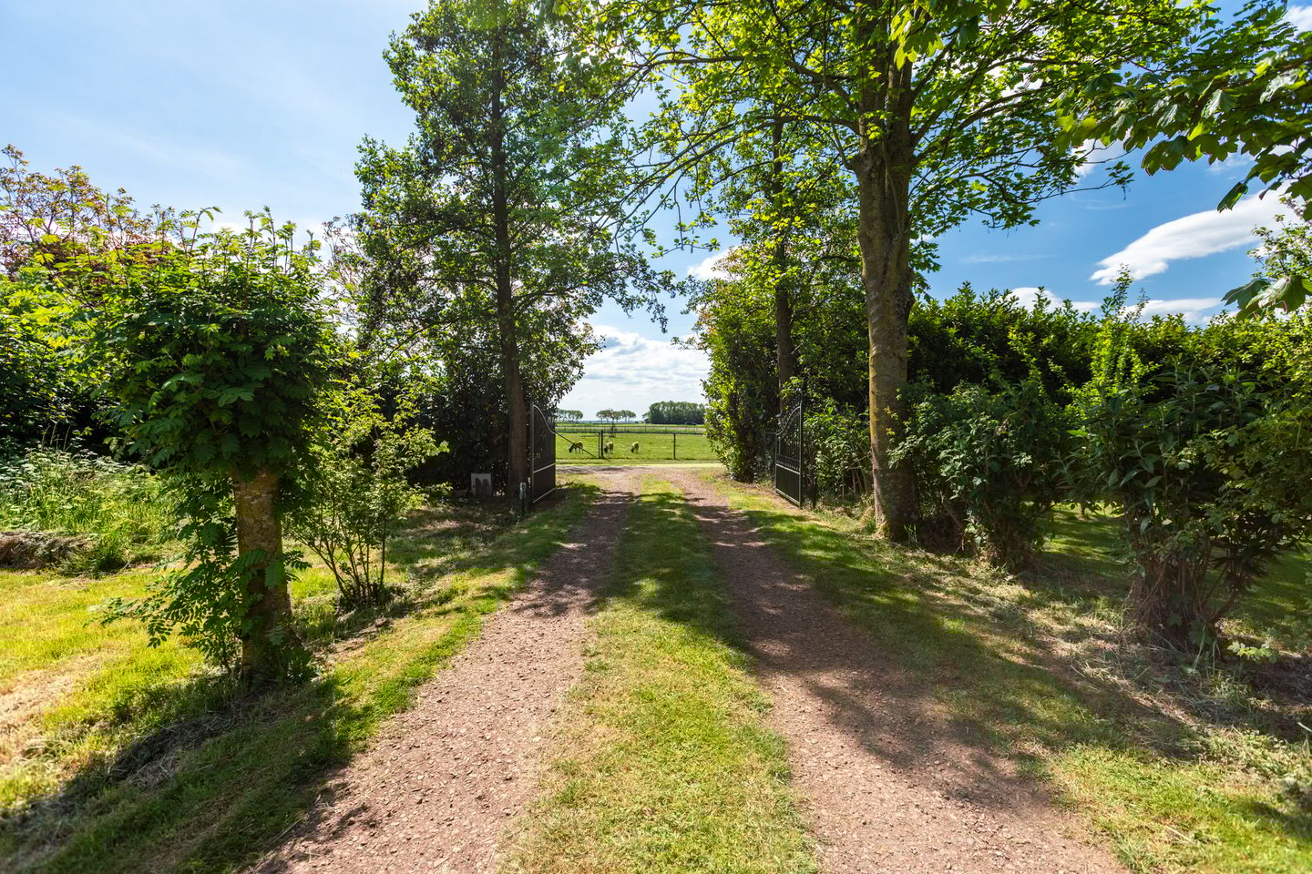 Foto 104 van Kesselse Dijk 9