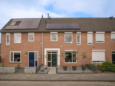 undefined main image