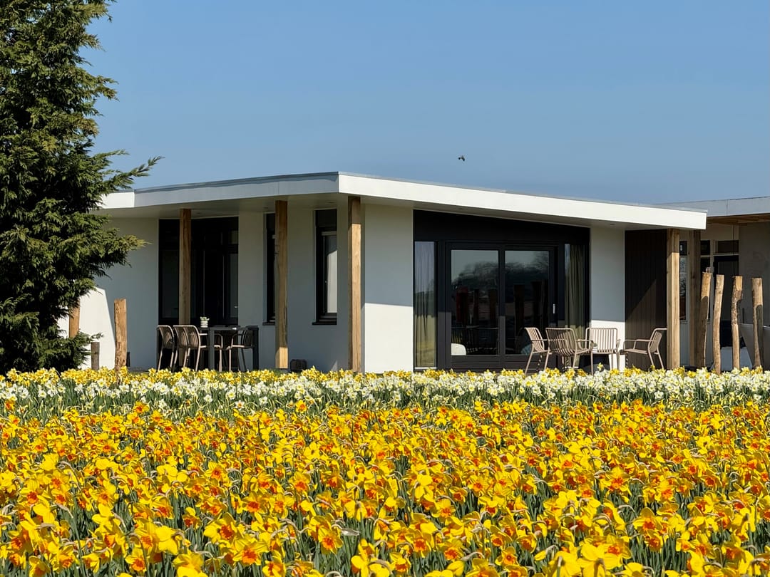 Foto 1 van Schulpweg 60