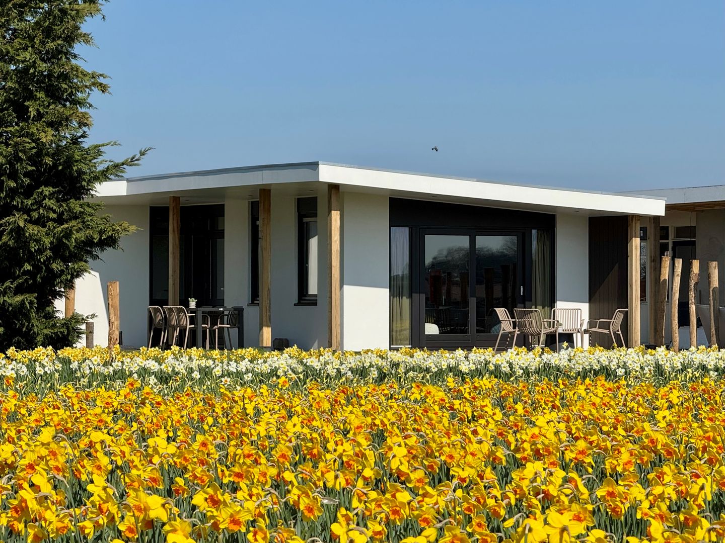 Foto 1 van Schulpweg 60