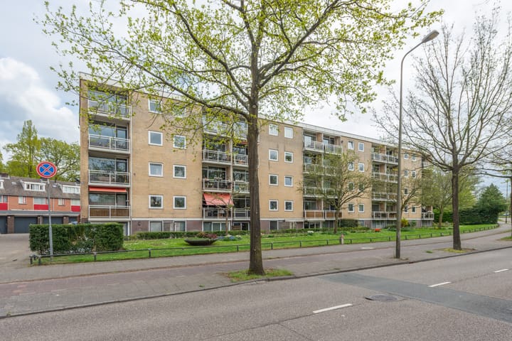 Foto 23 van Brinklaan 323