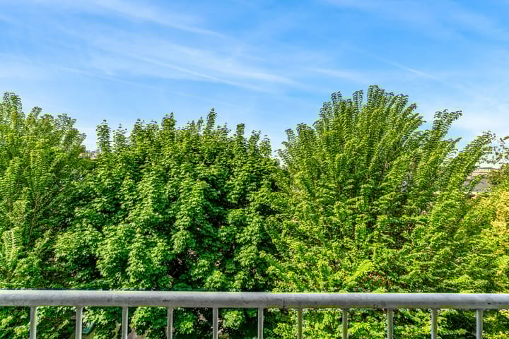 Foto 10 van Laan van Clingendael 44