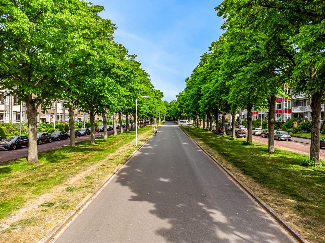 Foto 32 van Laan van Clingendael 44