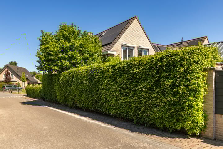 Foto 77 van Brederode 38