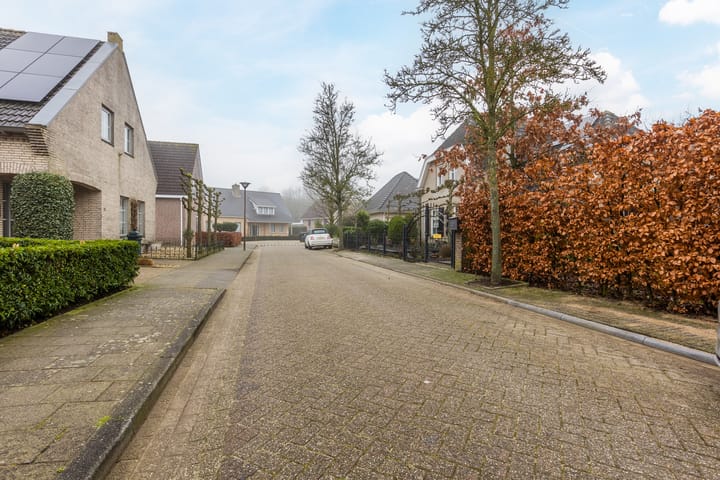 Foto 68 van Bieslook 13