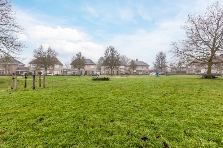 Foto 69 van Bieslook 13