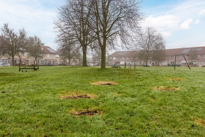 Foto 70 van Bieslook 13