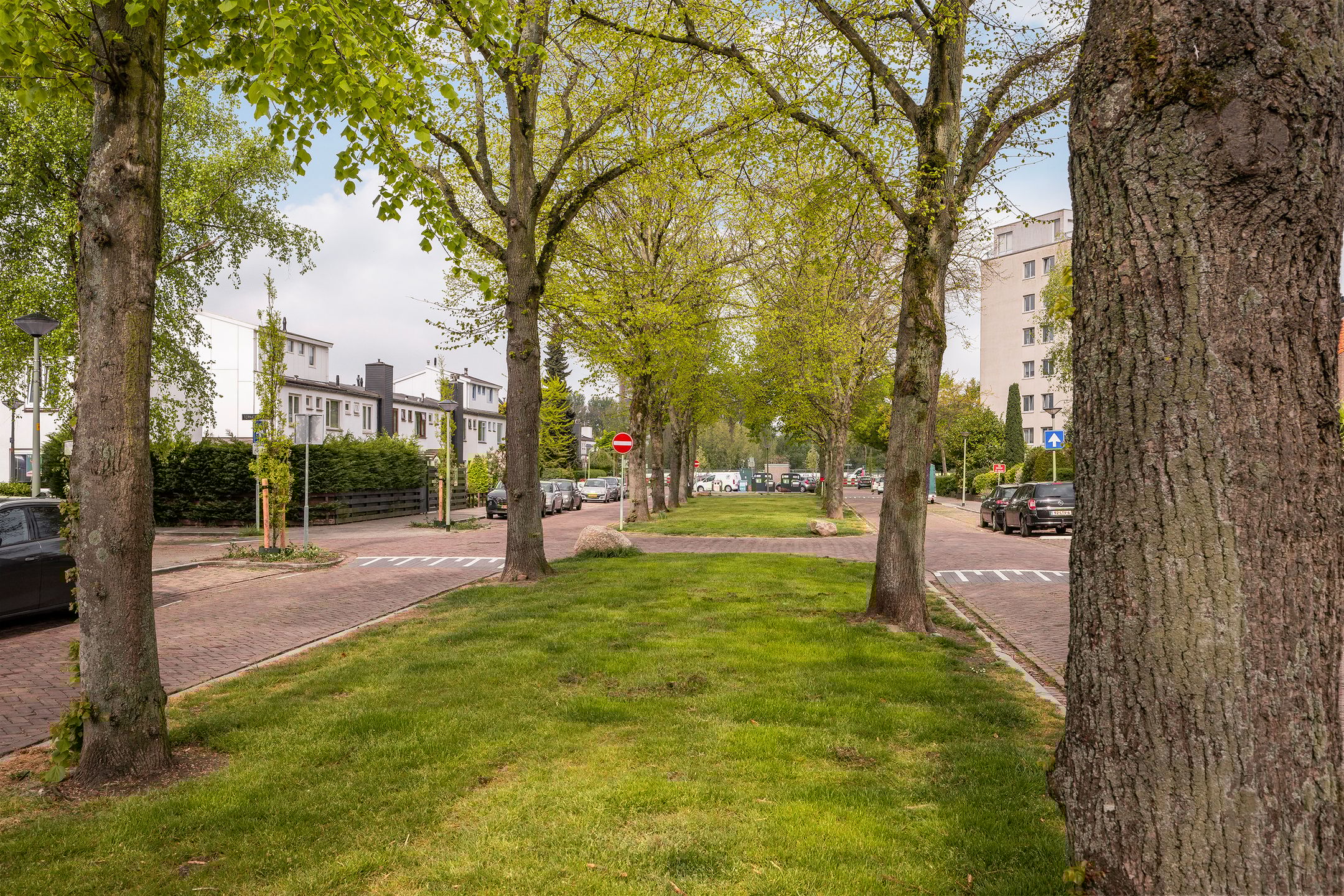 Foto 33 van Riouwlaan 55