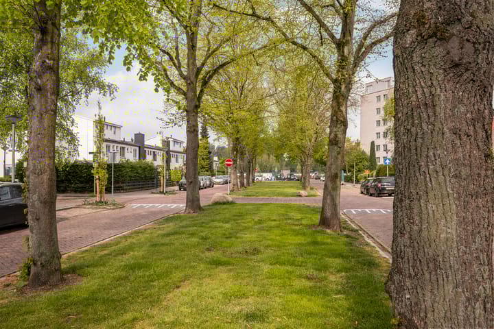 Foto 33 van Riouwlaan 55