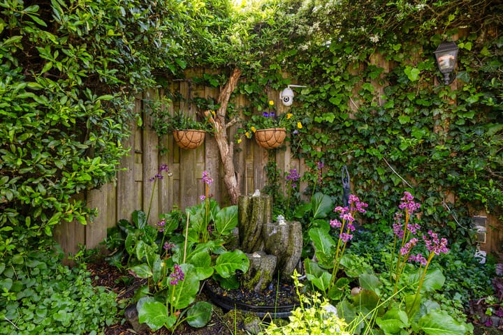 Photo 23 of Schepel 1