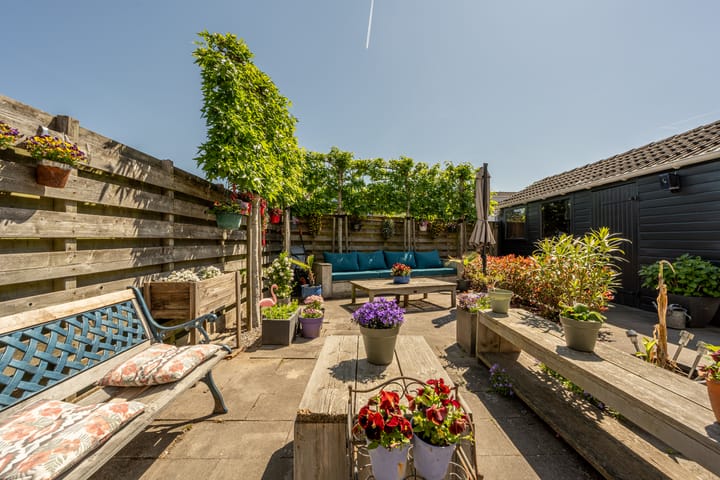 Foto 41 van Laan van Westmolen 37