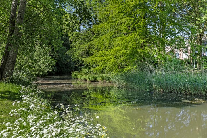 Foto 65 van De Graafdreef 7