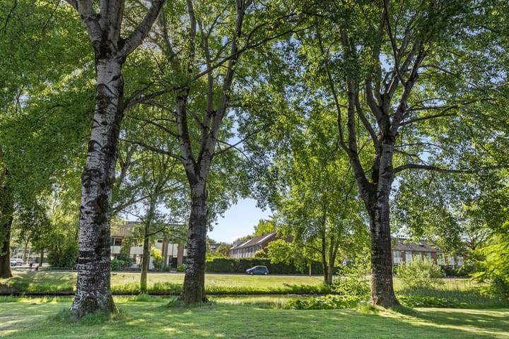 Foto 66 van De Graafdreef 7