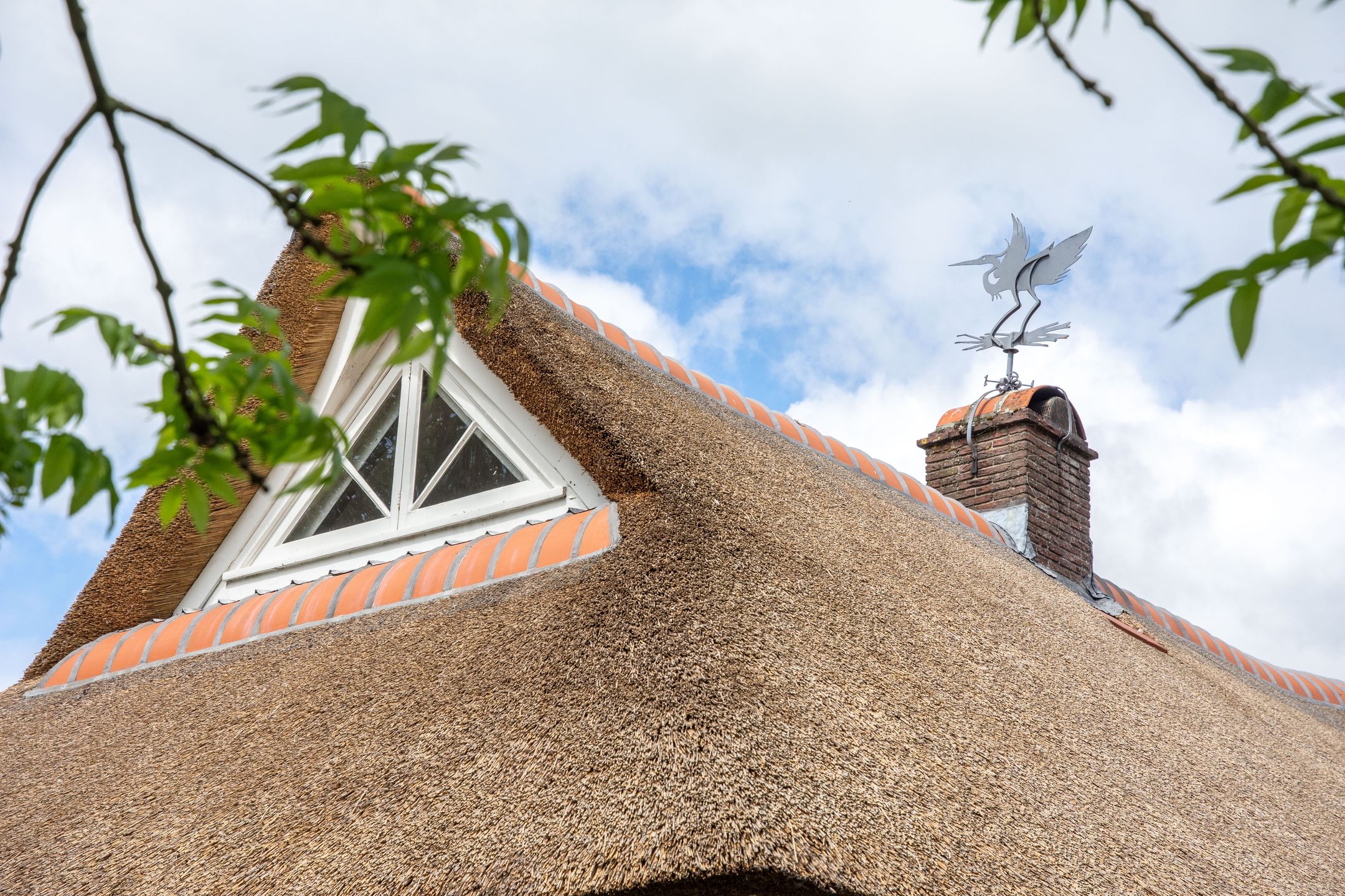 Foto 9 van De Plassen Zuid 396