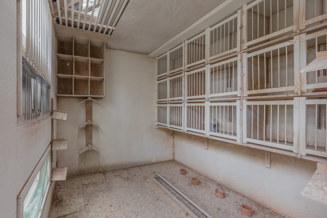 Photo 41 of Bredaseweg 18