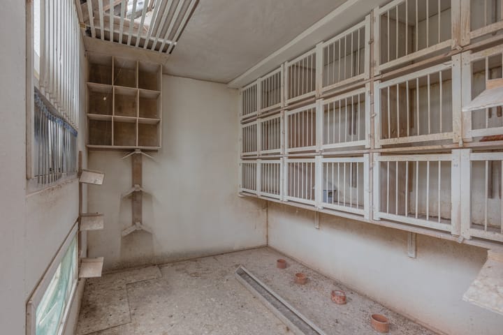 Foto 41 van Bredaseweg 18