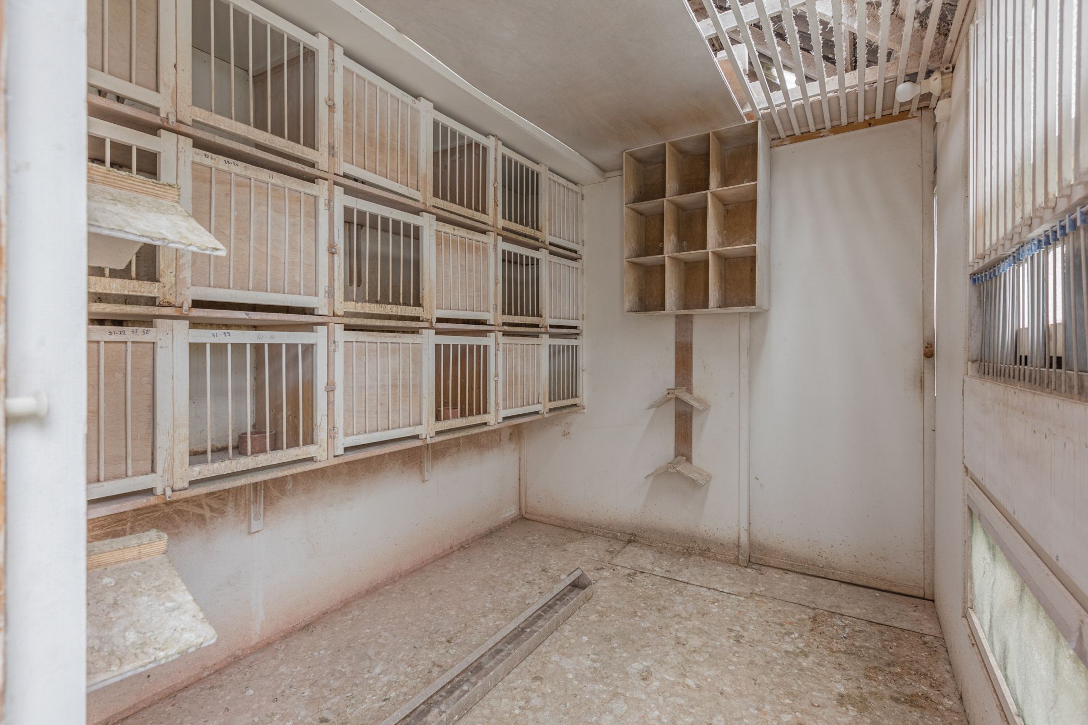 Photo 42 of Bredaseweg 18