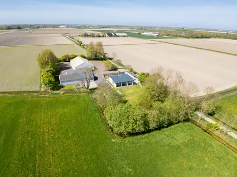 undefined main image