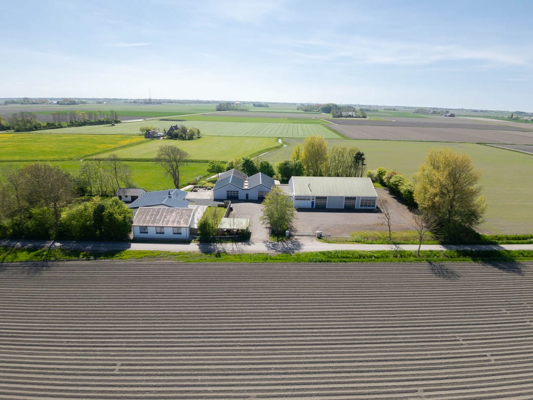 Foto 2 van Miedleane 8