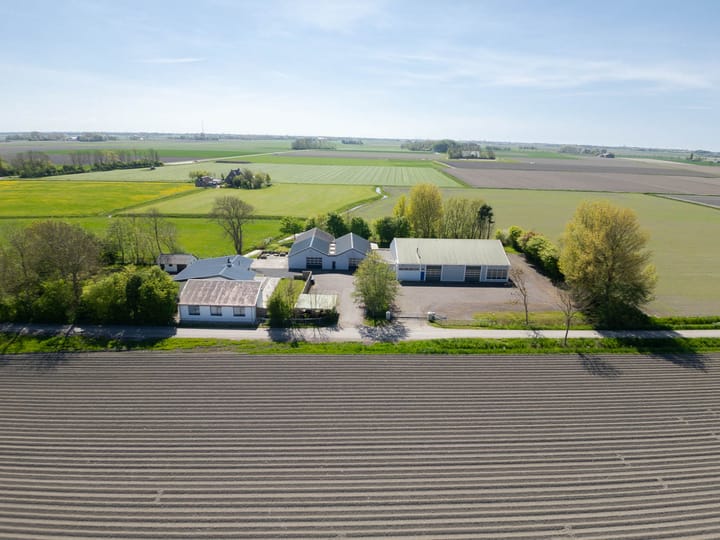 Photo 2 of Miedleane 8