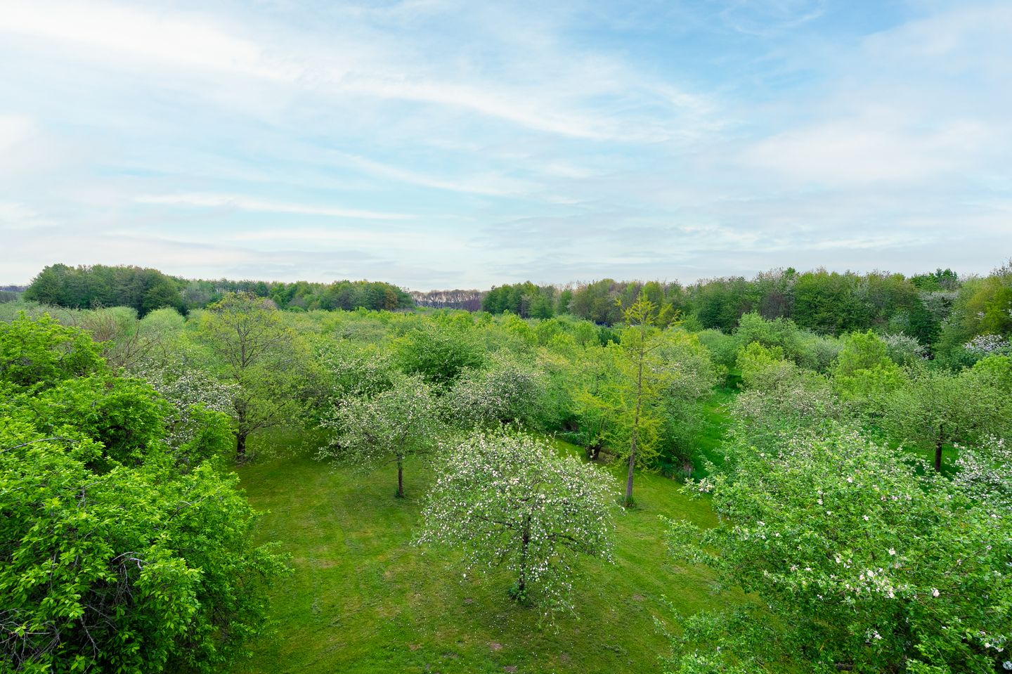 Foto 14 van Waaldijk 20