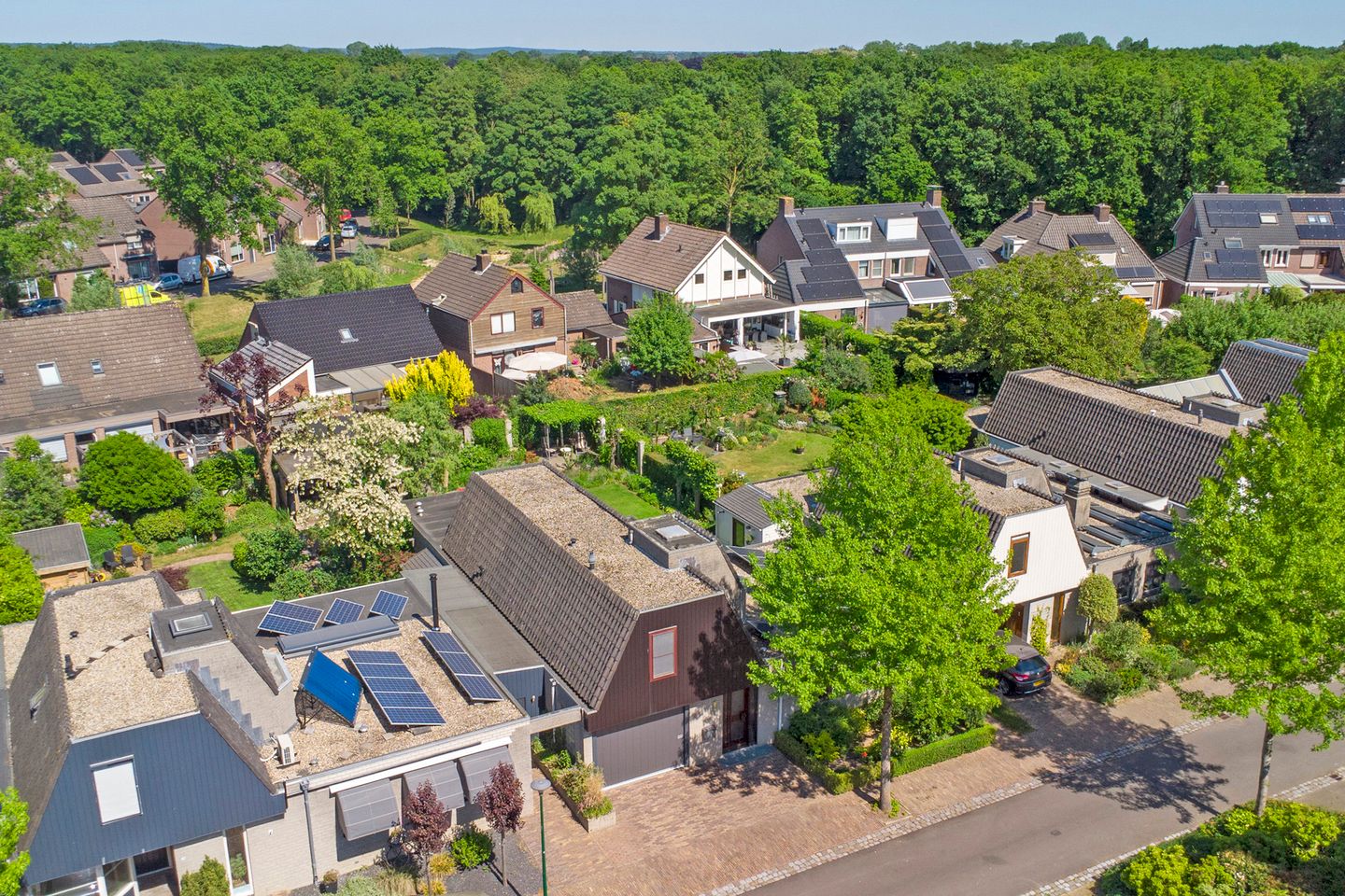 Foto 5 van Everdrift 5