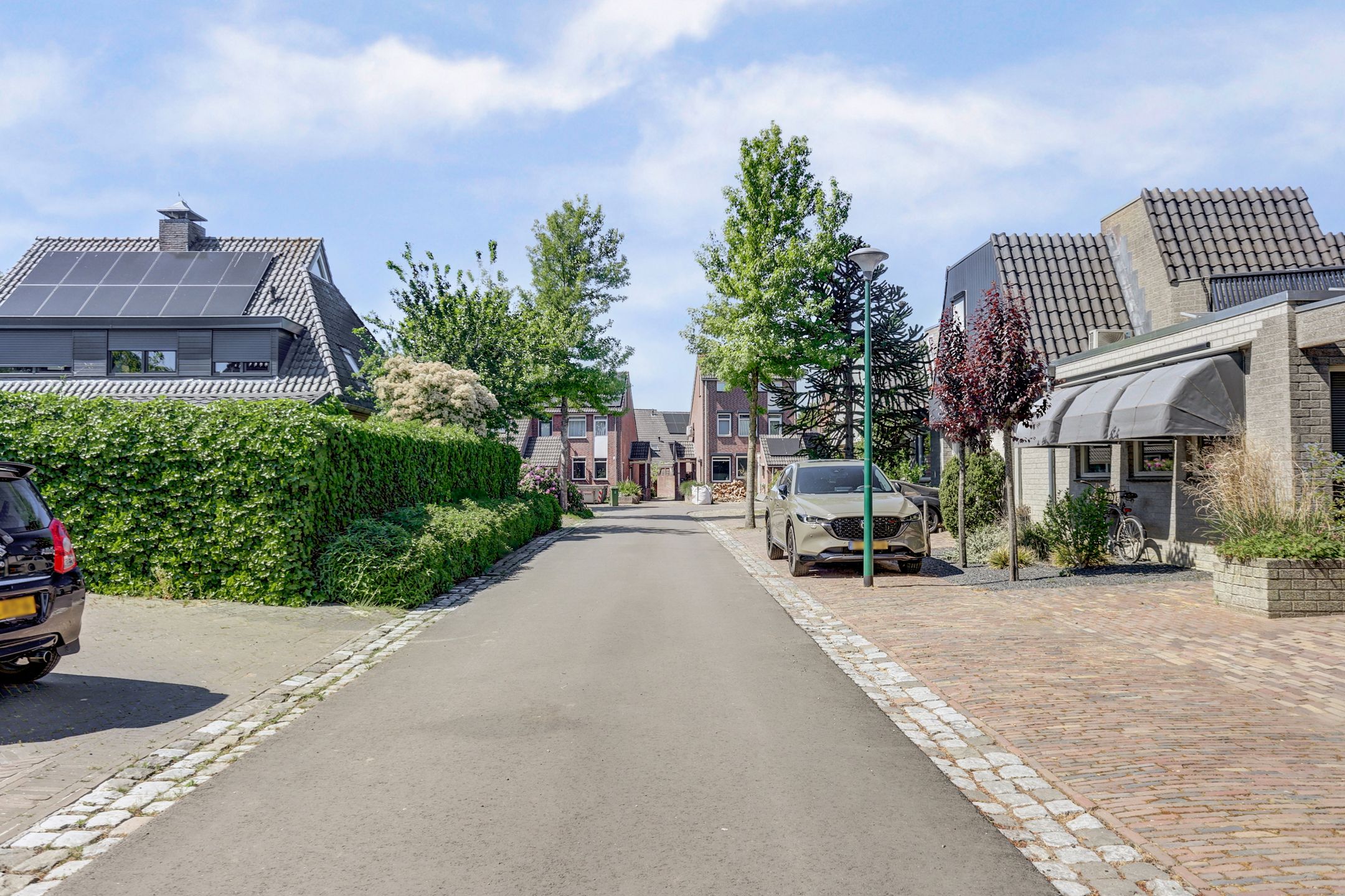 Foto 6 van Everdrift 5