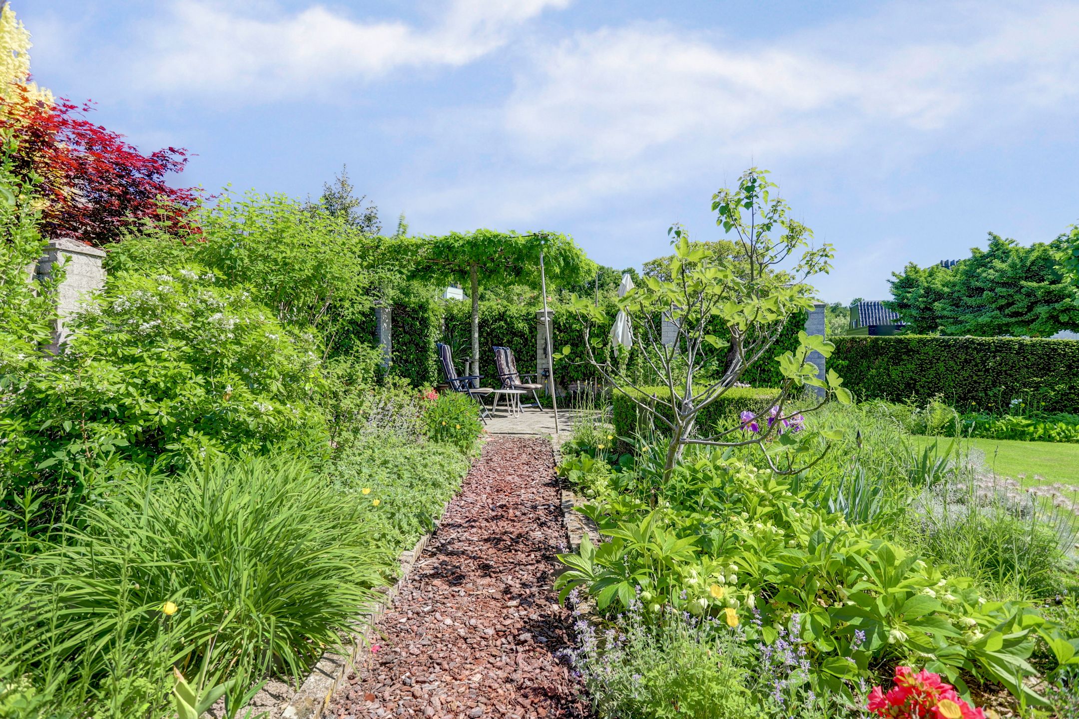 Foto 60 van Everdrift 5