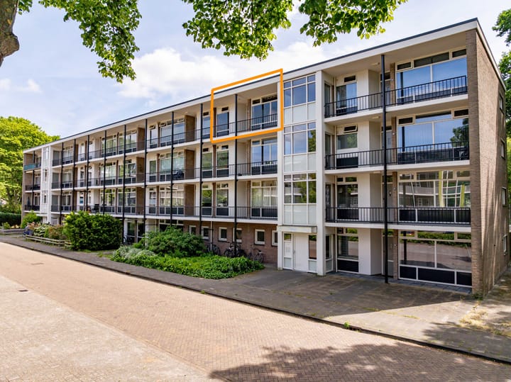 Foto 4 van De Reiger 201