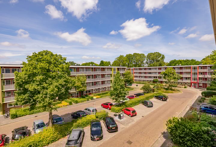 Photo 29 of De Reiger 201