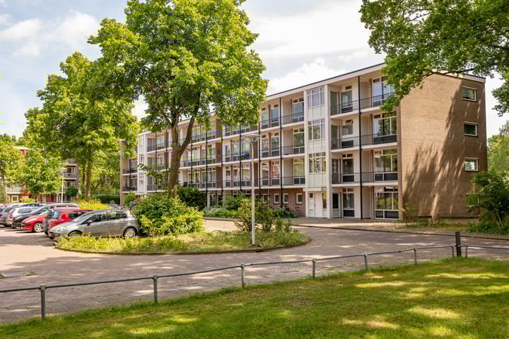 Photo 37 of De Reiger 201