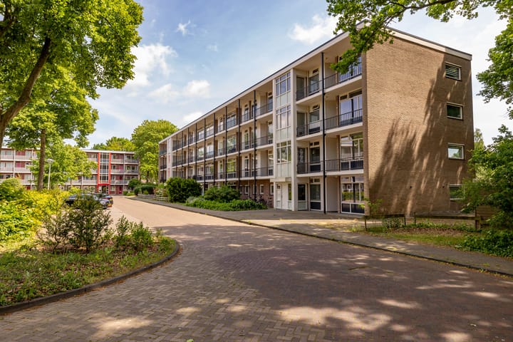 Photo 39 of De Reiger 201