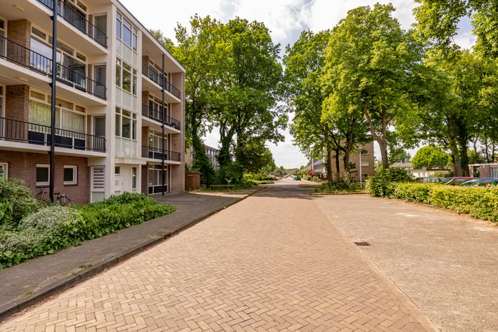 Photo 46 of De Reiger 201