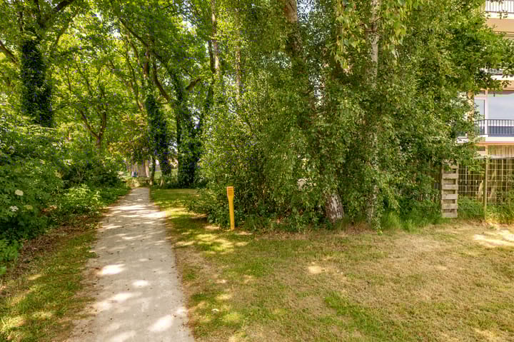 Photo 49 of De Reiger 201