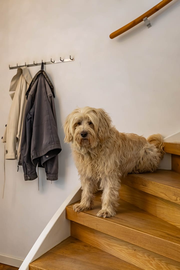 Foto 28 van Bloemsingel 186