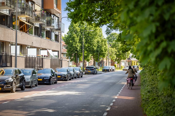 Foto 37 van Rijsterborgherweg 19